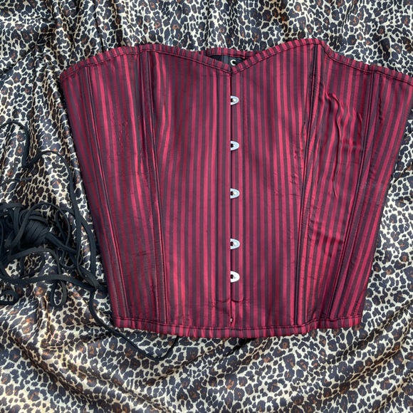 Hips & Curves Plus Size Pinstriped Black and Red Corset - Picture 12 of 16